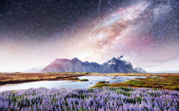 Autoimmune Support Protocol